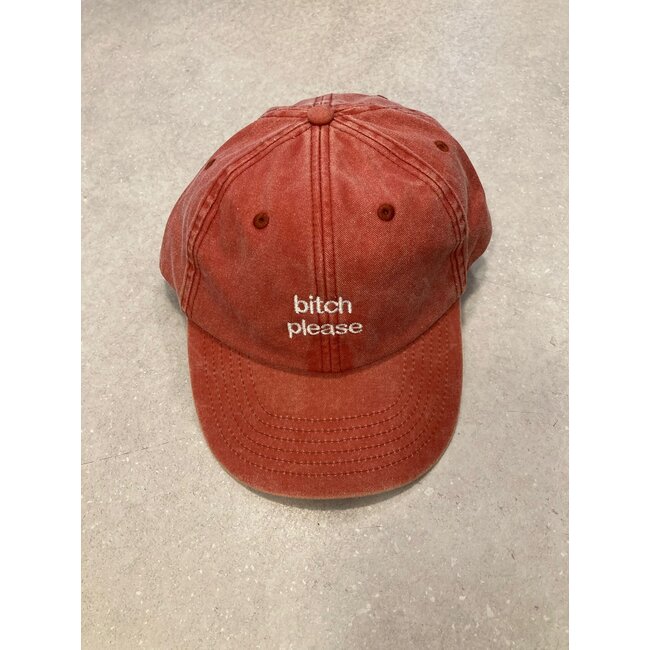 Urban Merch - Streetwear Cap Bitch Please - look vintage