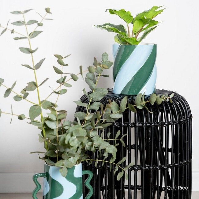 Que Rico - Bloempot - Plantenpot Camilo - Amor Del Color - groen