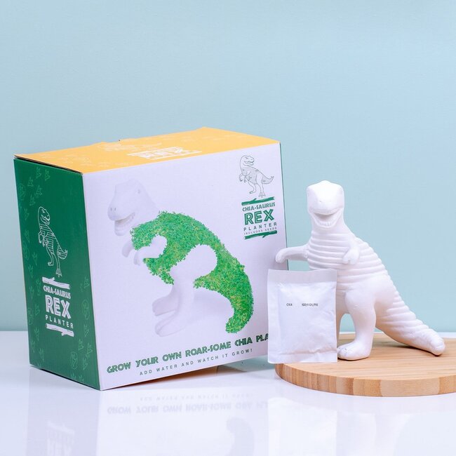 Gift Republic - Pflanztopf Chia-Saurus Rex - Anzuchtset mit Chiasamen