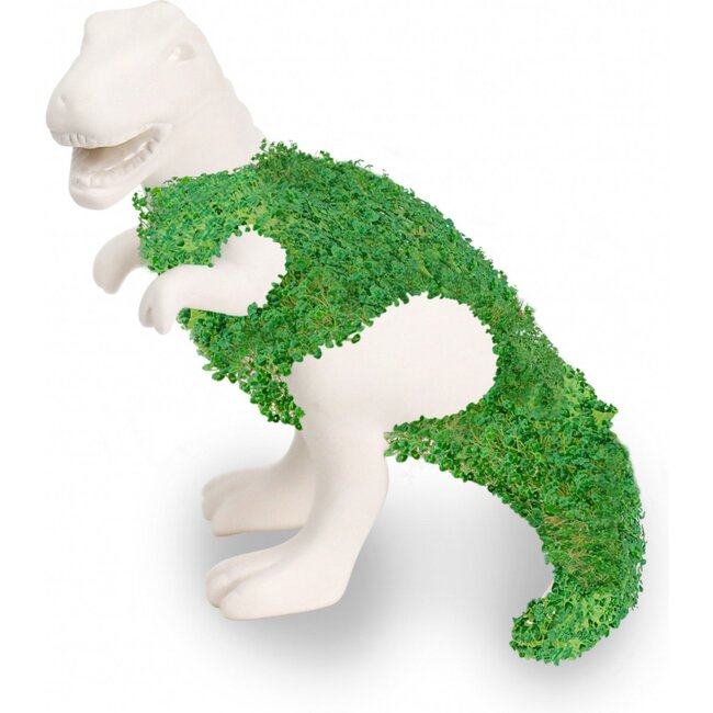 Gift Republic - Pflanztopf Chia-Saurus Rex - Anzuchtset mit Chiasamen