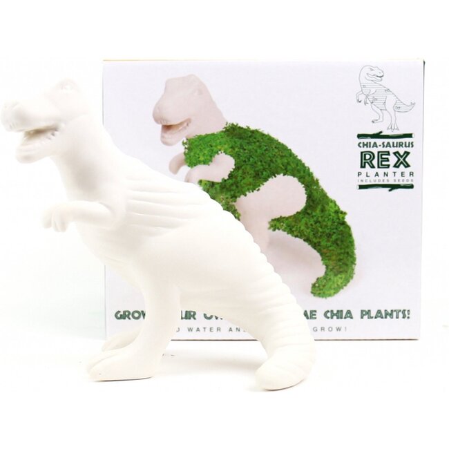 Gift Republic - Plantenpot Chia-Saurus Rex - kweekset met chiazaden