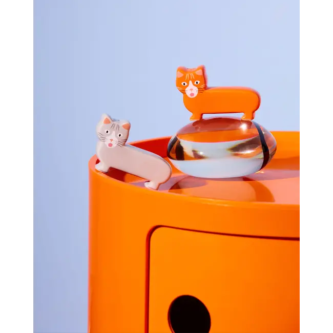 Fluid Market  - Salière et Poivrière Chat