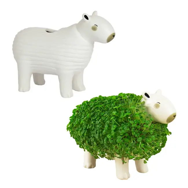 Gift Republic Pot de Plante Capybara