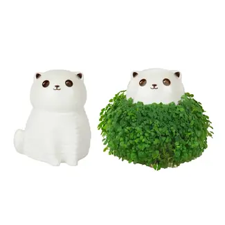 Gift Republic Pot de Plante Chat