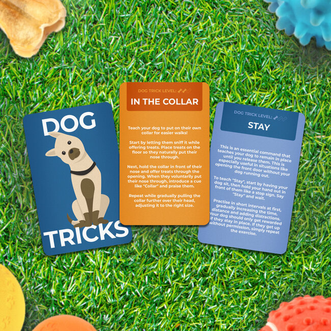 Gift Republic - Card Set Dog Tricks