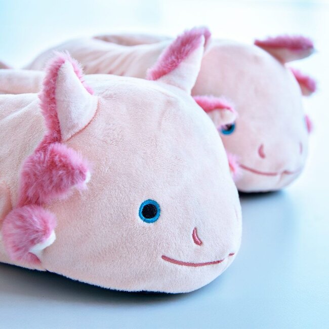 Slippers Axolotl