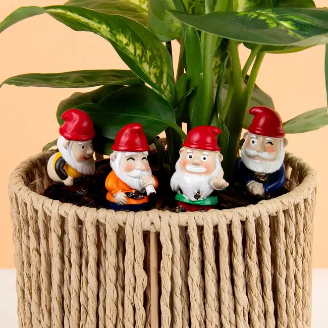 Gift Republic - Marqueurs de Pots de Plantes Gnome Coquin - ensemble de 4