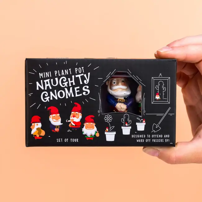 Gift Republic - Marqueurs de Pots de Plantes Gnome Coquin - ensemble de 4