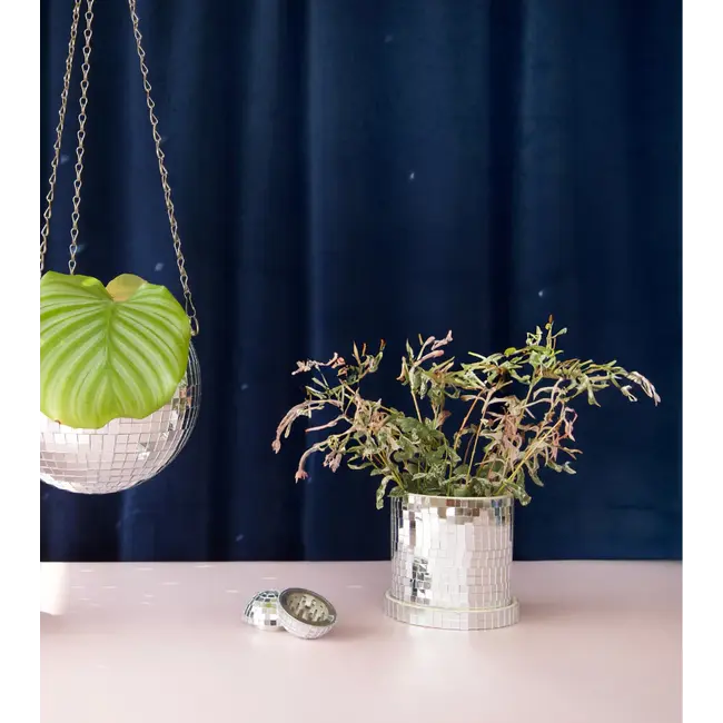 L'expressionist - Plant Pot Disco