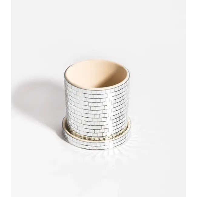 L'expressionist - Plant Pot Disco