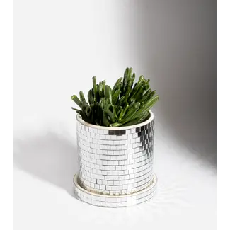 L'expressionist Plant Pot Disco L'expressionist Plant Pot Disco