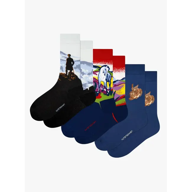 Kunstsokken - Sokken German Masters Cadeauset - Duitse Meesters - 3 paar