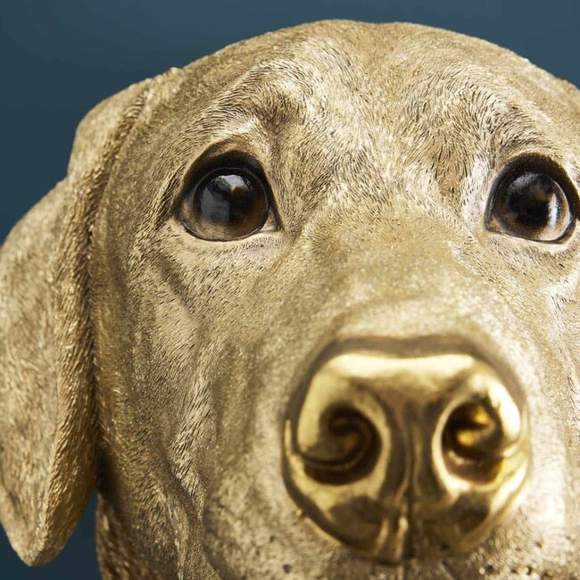 Werns Werner Voß - Wandlamp - Dierenlamp Hond Labrador Lucky