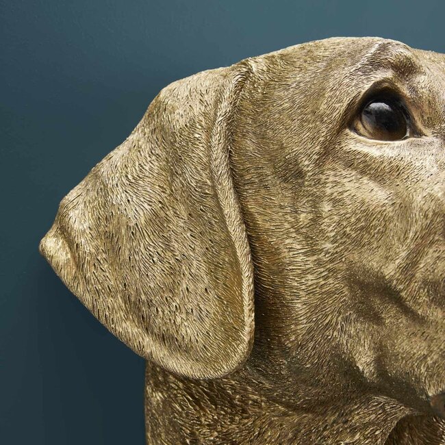 Werns Werner Voß - Wandleuchte - Tierlampe Hund Labrador Lucky