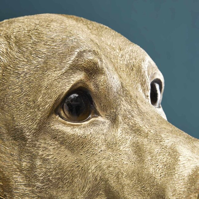 Werns Werner Voß - Lampe Murale Chien Labrador Lucky