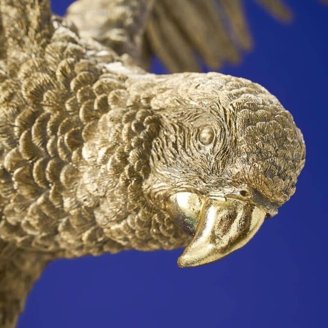 Werner Voß Werns - Ceiling Light - Animal Lamp Parrot - gold