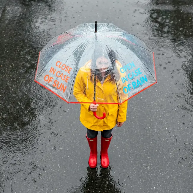 Fisura - Paraplu Open In Case Of Rain, Close In Case Of Sun - transparant