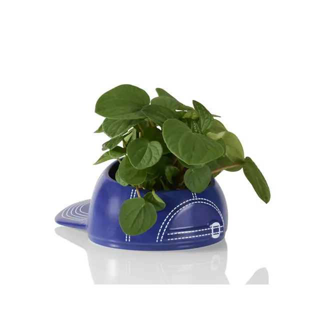 Bitten - Bowl Baseball Cap