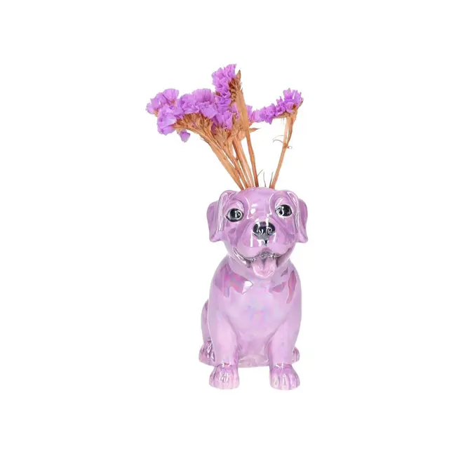 GiftCompany - Mini-Vase Mignon Hund