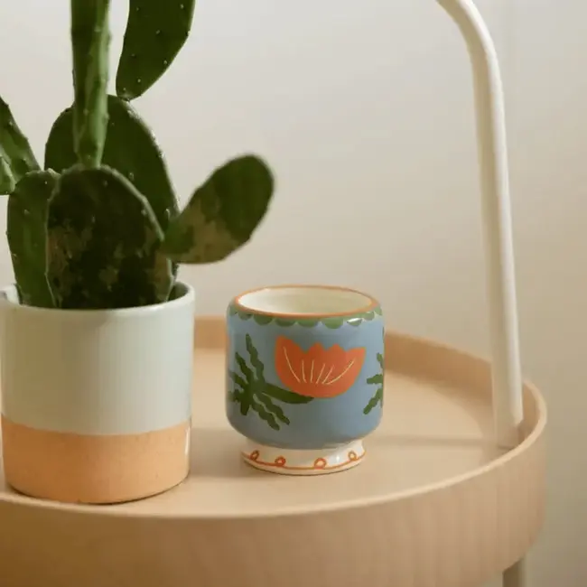 Paddywax - Scented candle A Dopo Cactus Flower - Bergamot, Pear, Apple Blossom, Coconut Water - ceramic 227 gr.