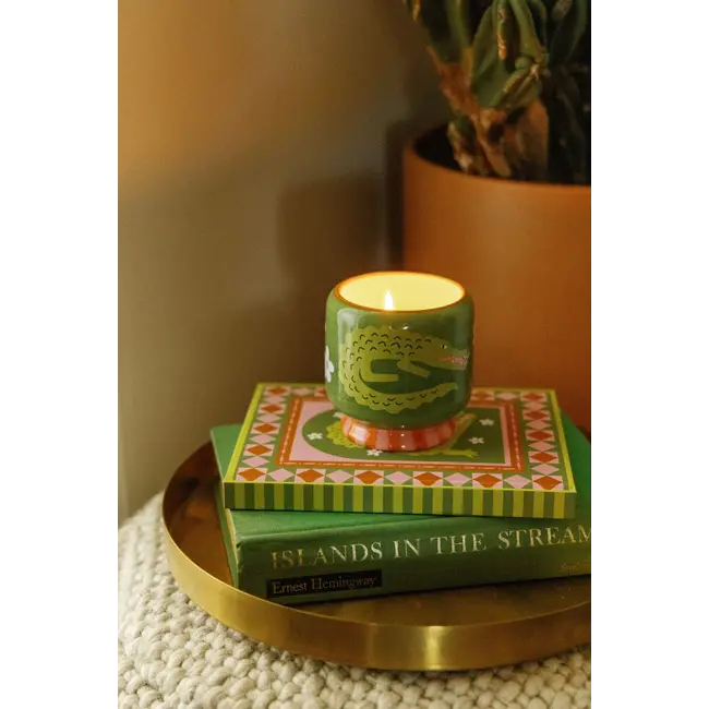 Paddywax - Scented candle A Dopo Crocodile - Nutmeg, Eucalyptus, Cinnamon Leaf, Dewy Greens - ceramic 227 gr.