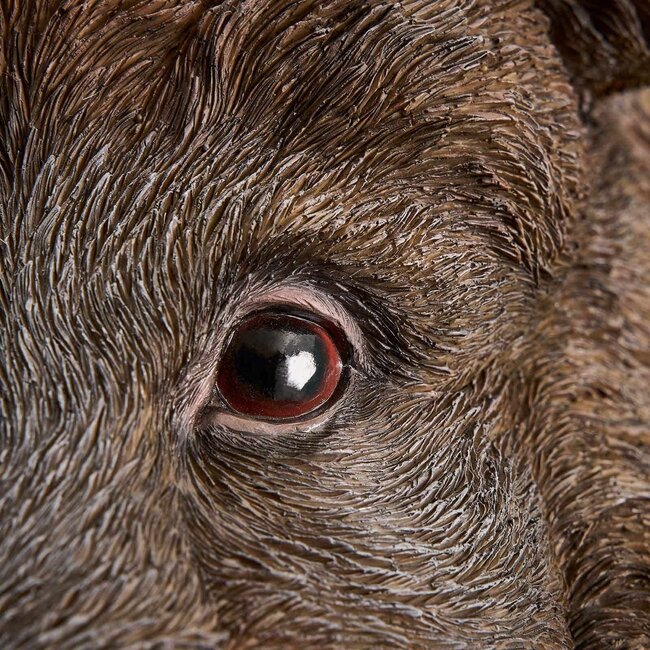 Werner Voß - Lampe Murale - Lampe Animale - Sanglier Willy - brun