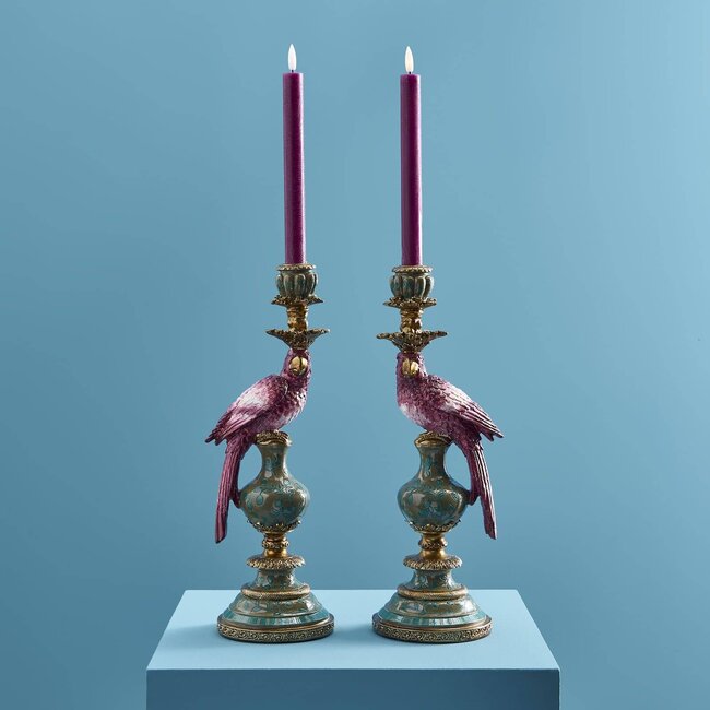 Werns - Werner Voß Bougeoir Perroquet - lot de 2 - rose