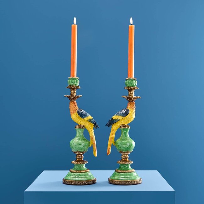 Werns Werner Voß - Bougeoir Perroquet - lot de 2 - multicolor