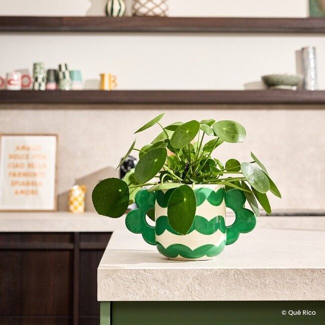 Que Rico - Bloempot - Plantenpot Jacinta - Wavy Rumba