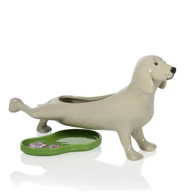 Bitten - Flowerpot Pee Dog - Peeing Dog