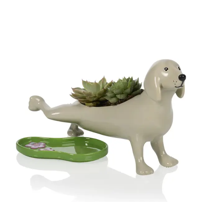 Bitten - Pot de Fleurs Pee Dog - Chien qui urine