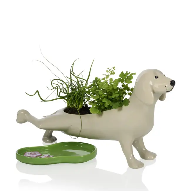 Bitten - Blumentopf Pee Dog - Pinkelnder Hund