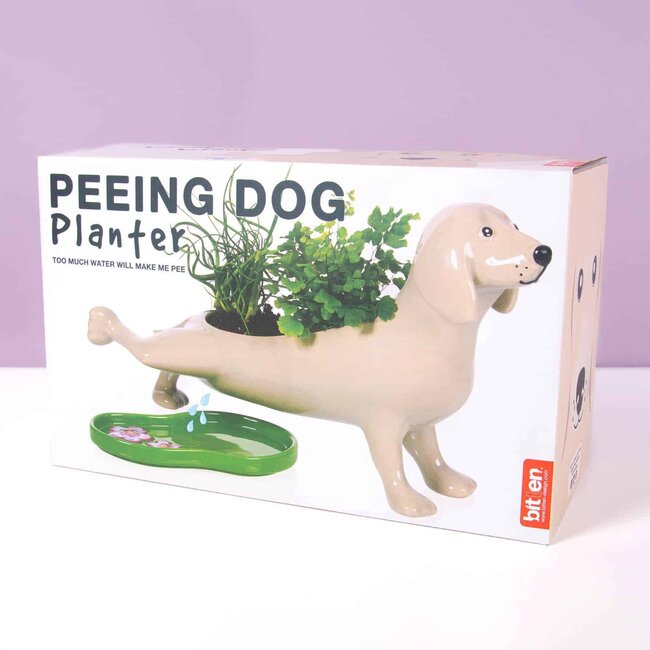 Bitten - Flowerpot Pee Dog - Peeing Dog