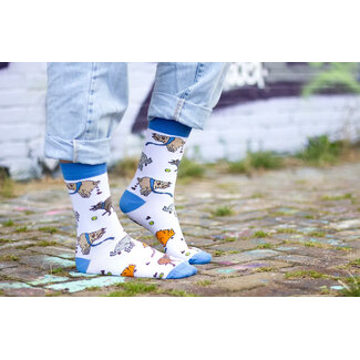 Eat Mielies Socks Pooping Dogs