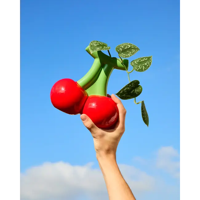 Fluid Market - Vaas Cherry