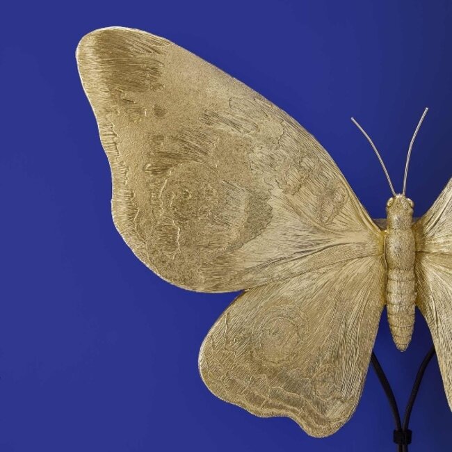 Werns Werner Voß - Wandleuchte - Tierleuchte Schmetterling