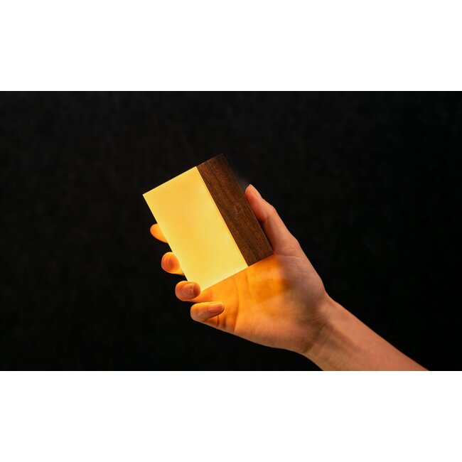 Ginkgo - Night Light CuraCheese - rechargeable - natural walnut wood