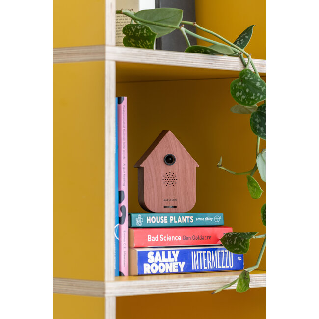 Karlsson - Sound Box Modern Cuckoo - dark wood