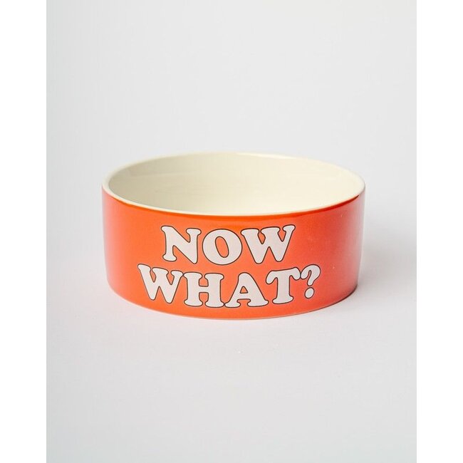 Blogo Design - Gamelle pour Chien Snoopy More Please - rouge