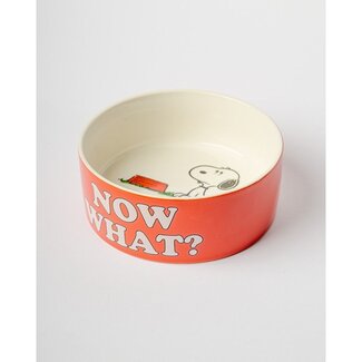 Blogo Design Gamelle pour Chien Snoopy More Please - rouge