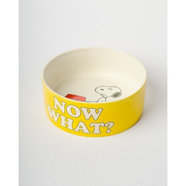 Blogo Design Dog Bowl Snoopy More Please - yellow