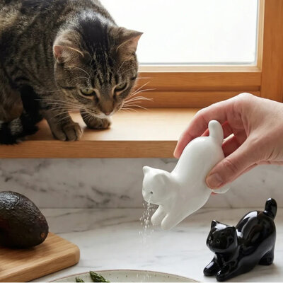 Cats