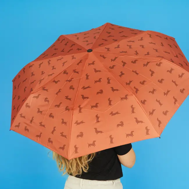 Balvi - Umbrella Dachshund - brown