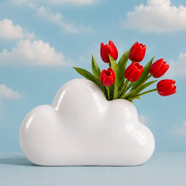 Upside Stories - Vaas Grote Wolk - kan staan of hangen