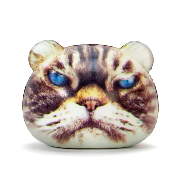 Kikkerland - Stressbal Kat