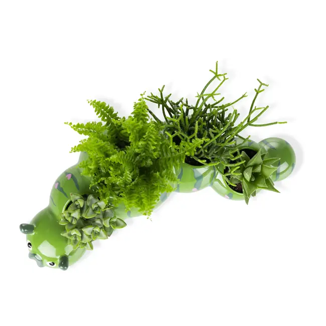 Bitten - Pot de Plante Chenille