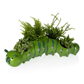 Bitten Planter Caterpillar