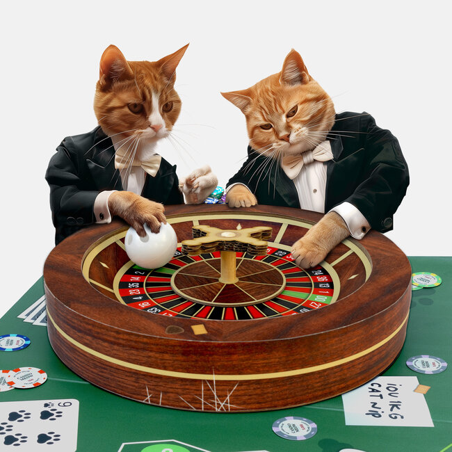 Suck UK - Katten Casino