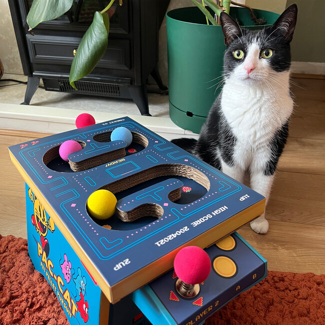 Suck UK - Cat Arcade Game