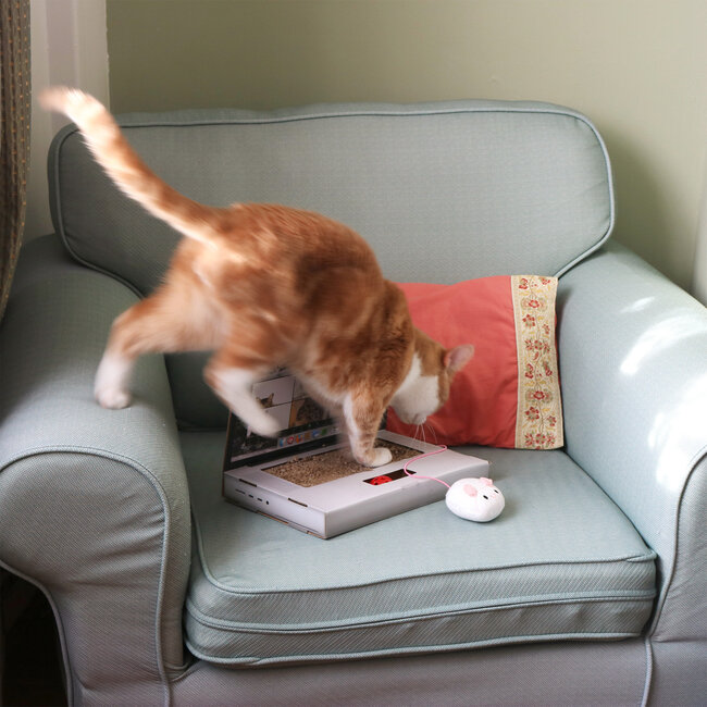 Suck UK - Katzen-Kratzbrett Laptop